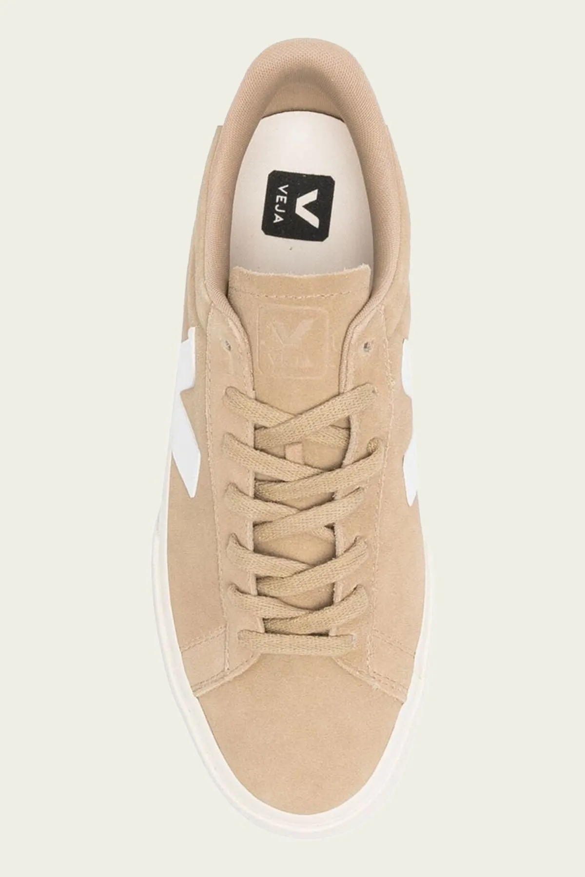 Campo Suede Leather Men Sneaker in Dune White
