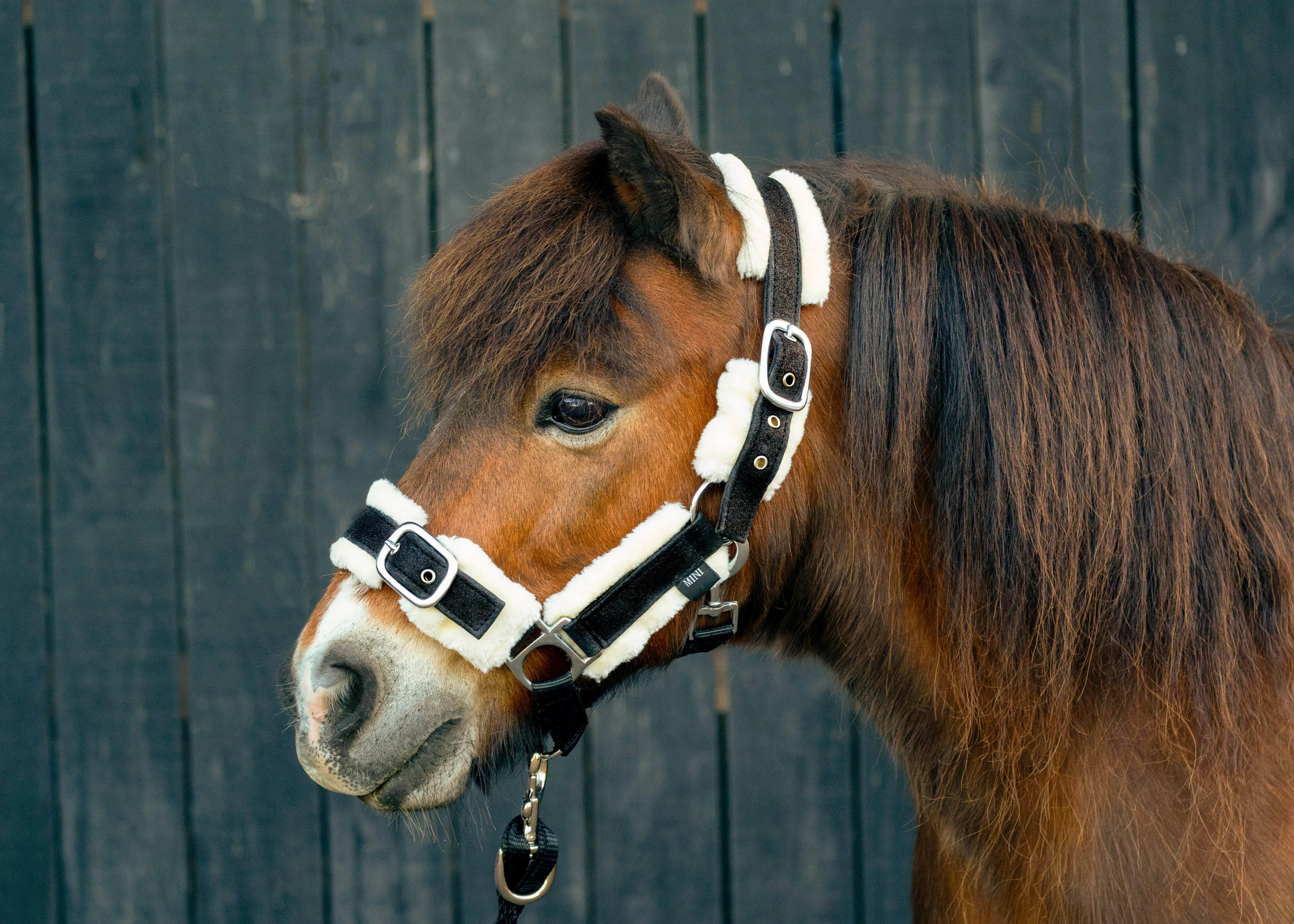 Glitter and Camo Fleece Halters
