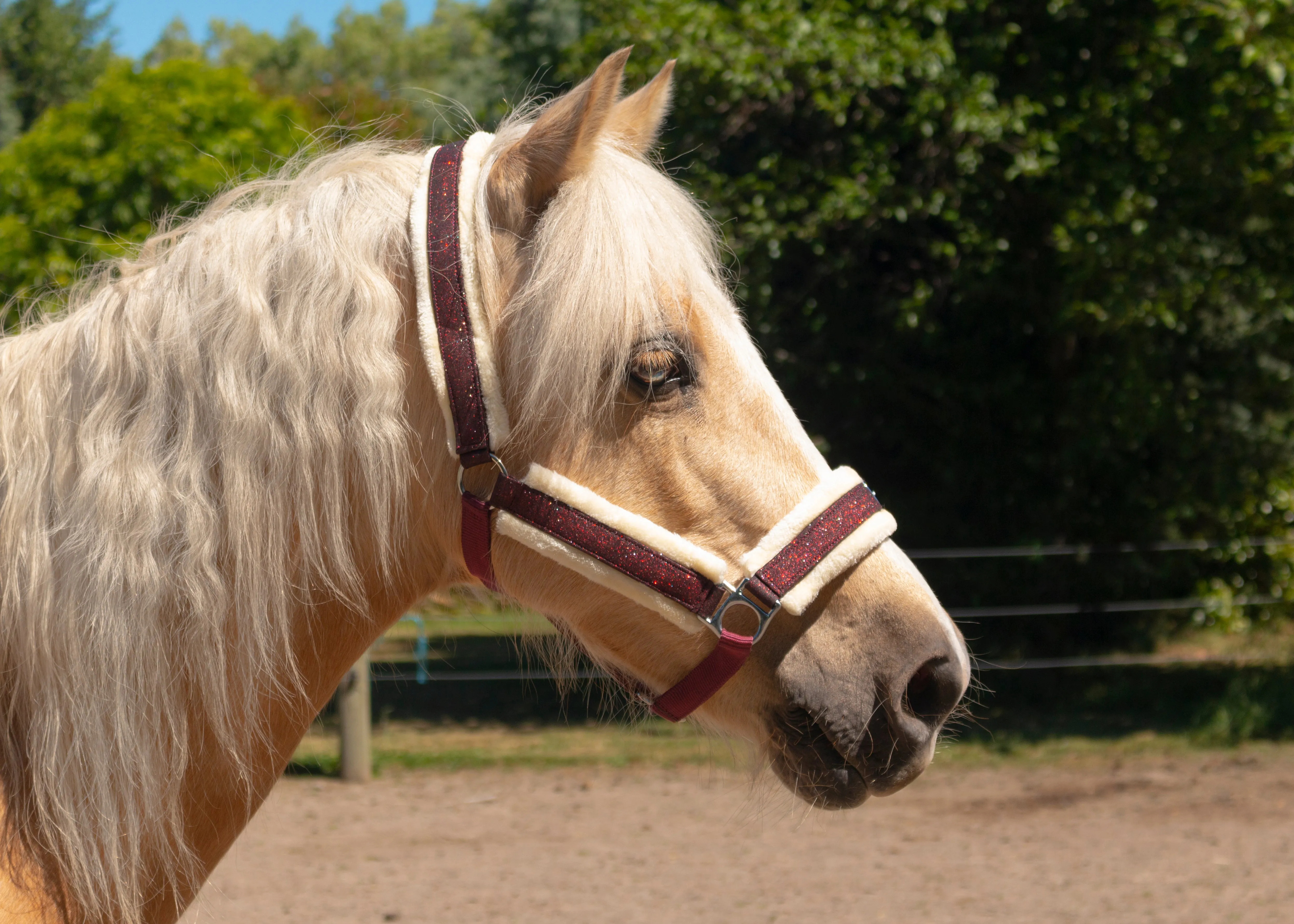 Glitter and Camo Fleece Halters