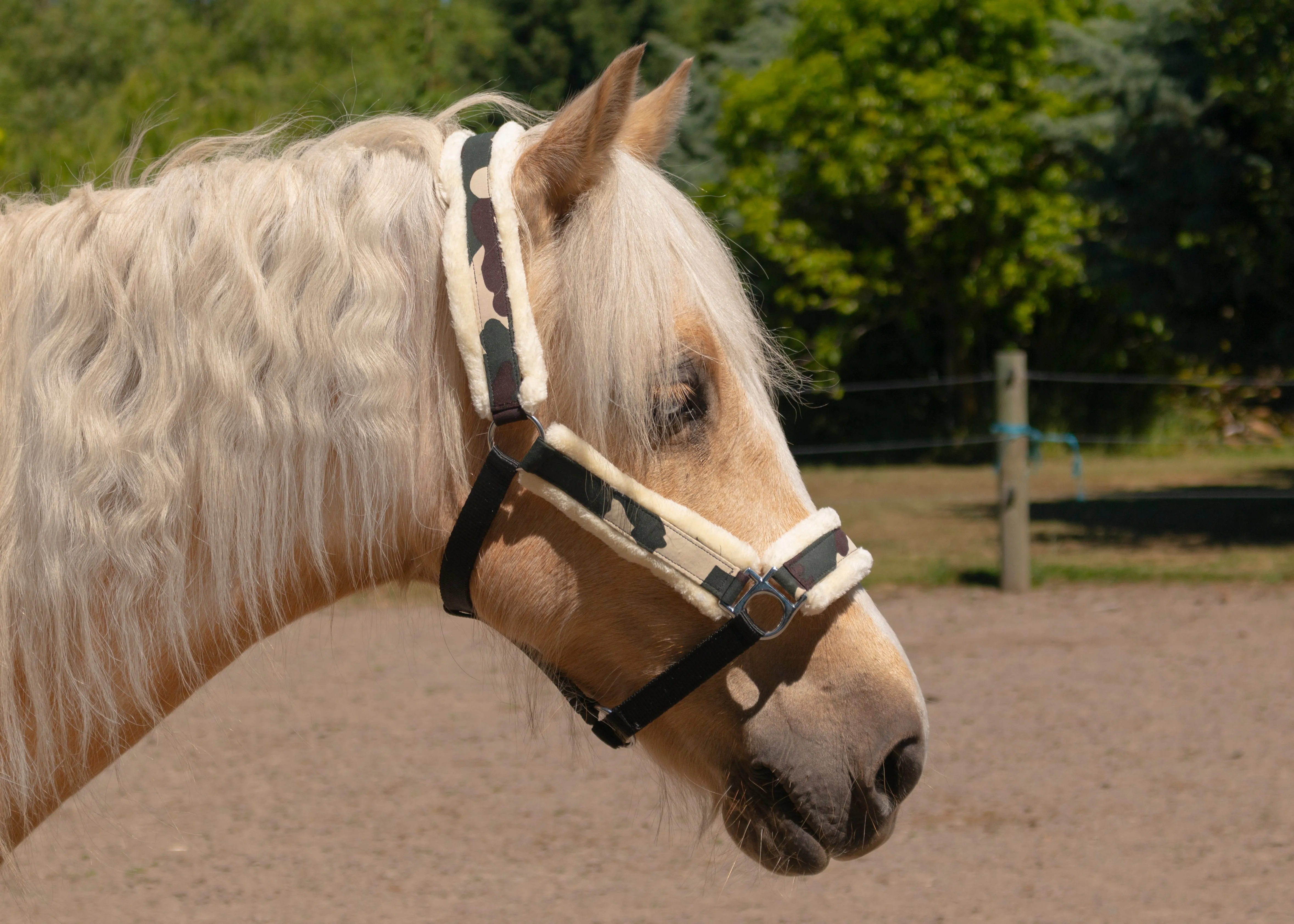 Glitter and Camo Fleece Halters