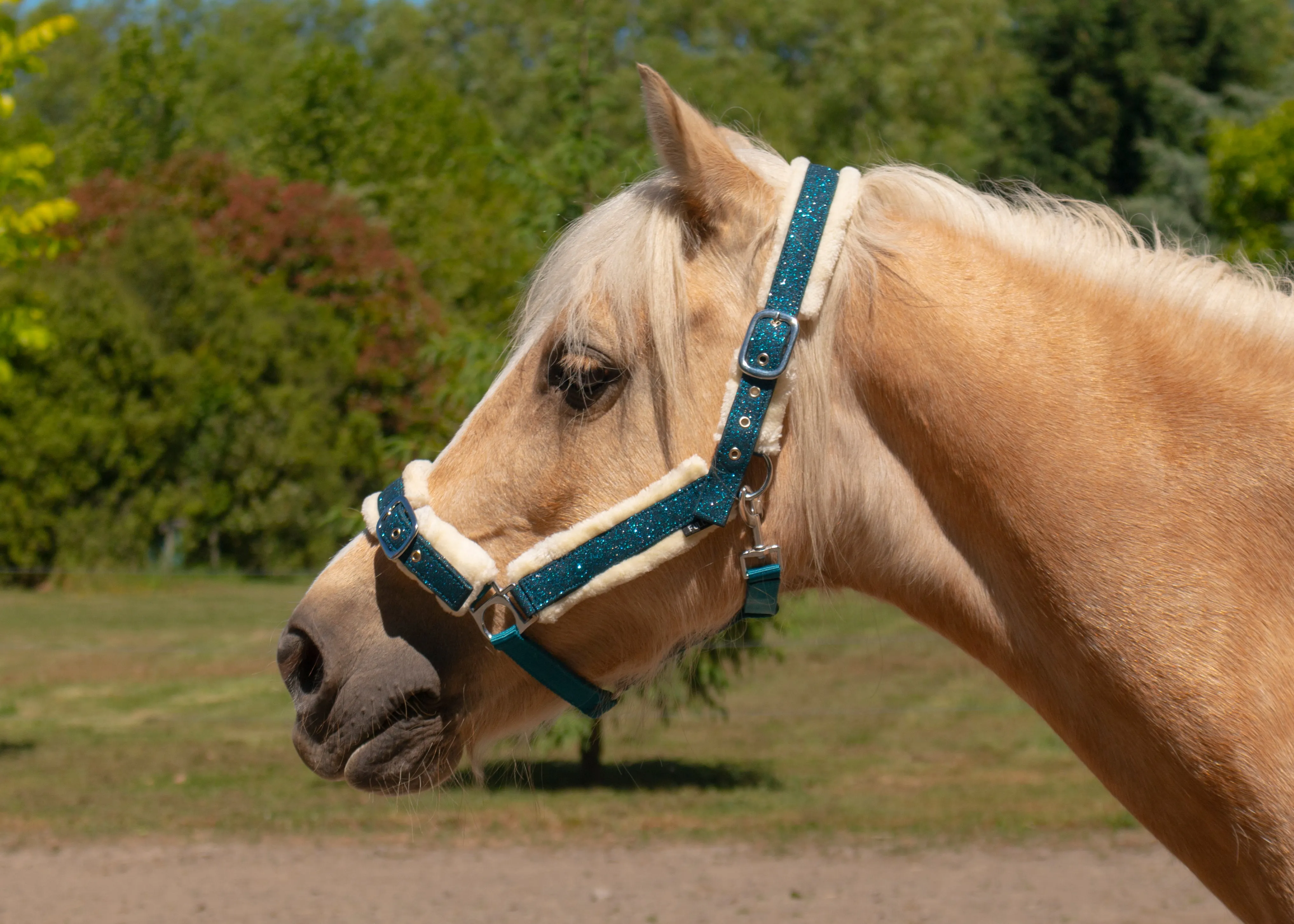 Glitter and Camo Fleece Halters