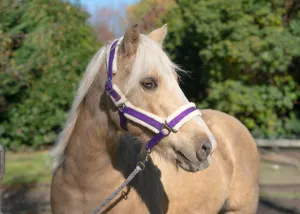 Glitter and Camo Fleece Halters