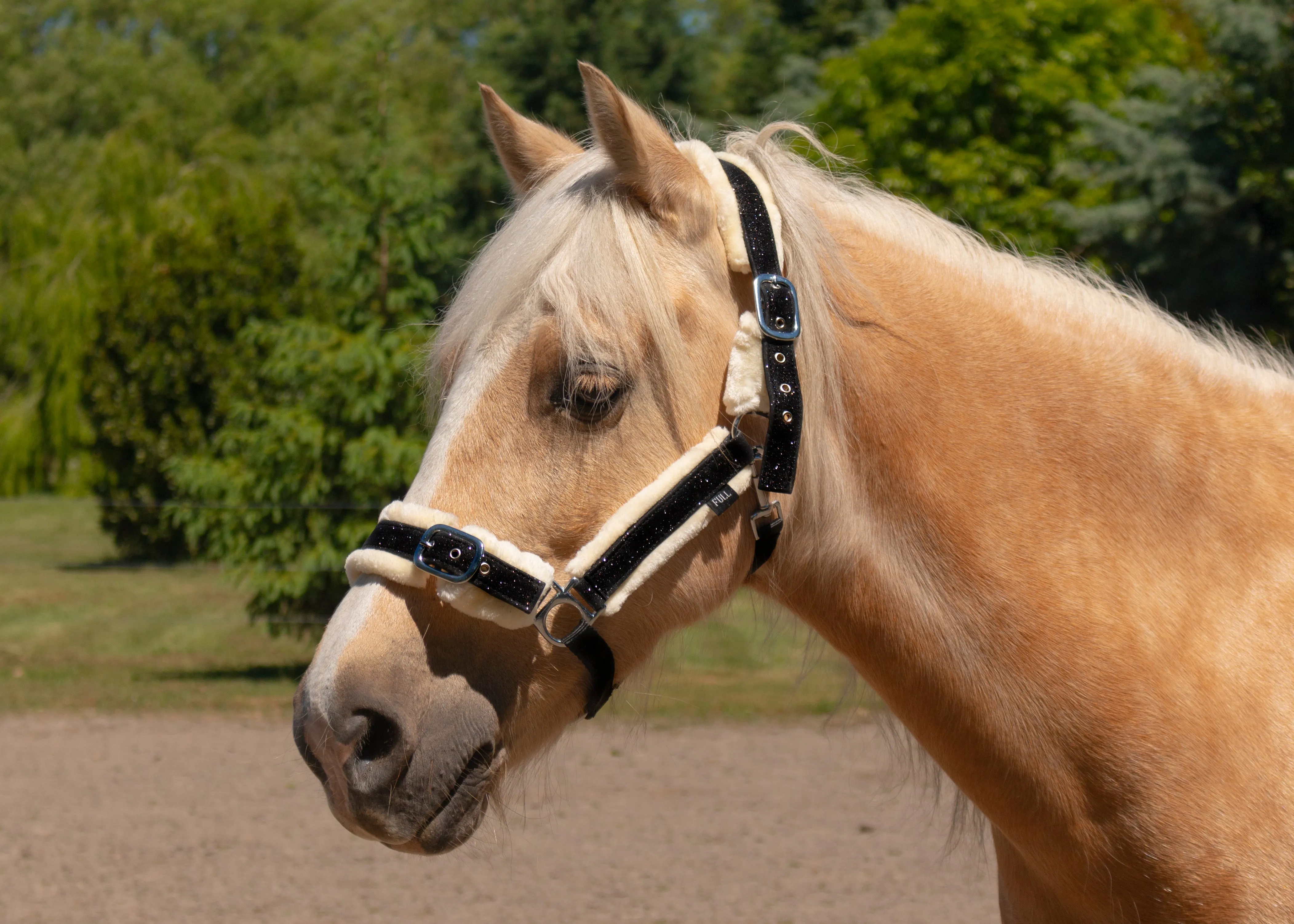 Glitter and Camo Fleece Halters