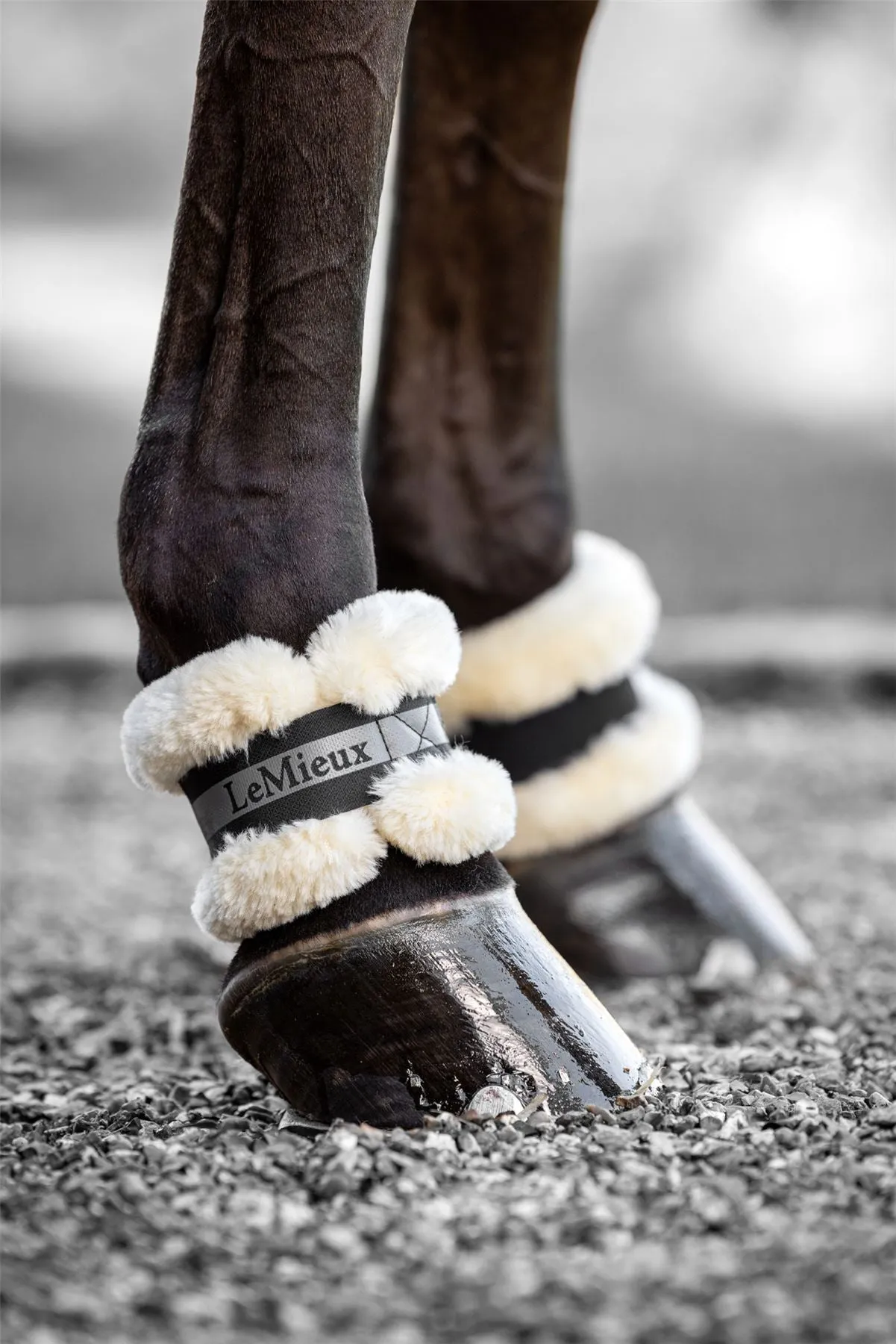 LeMieux Fleece Pastern Wrap