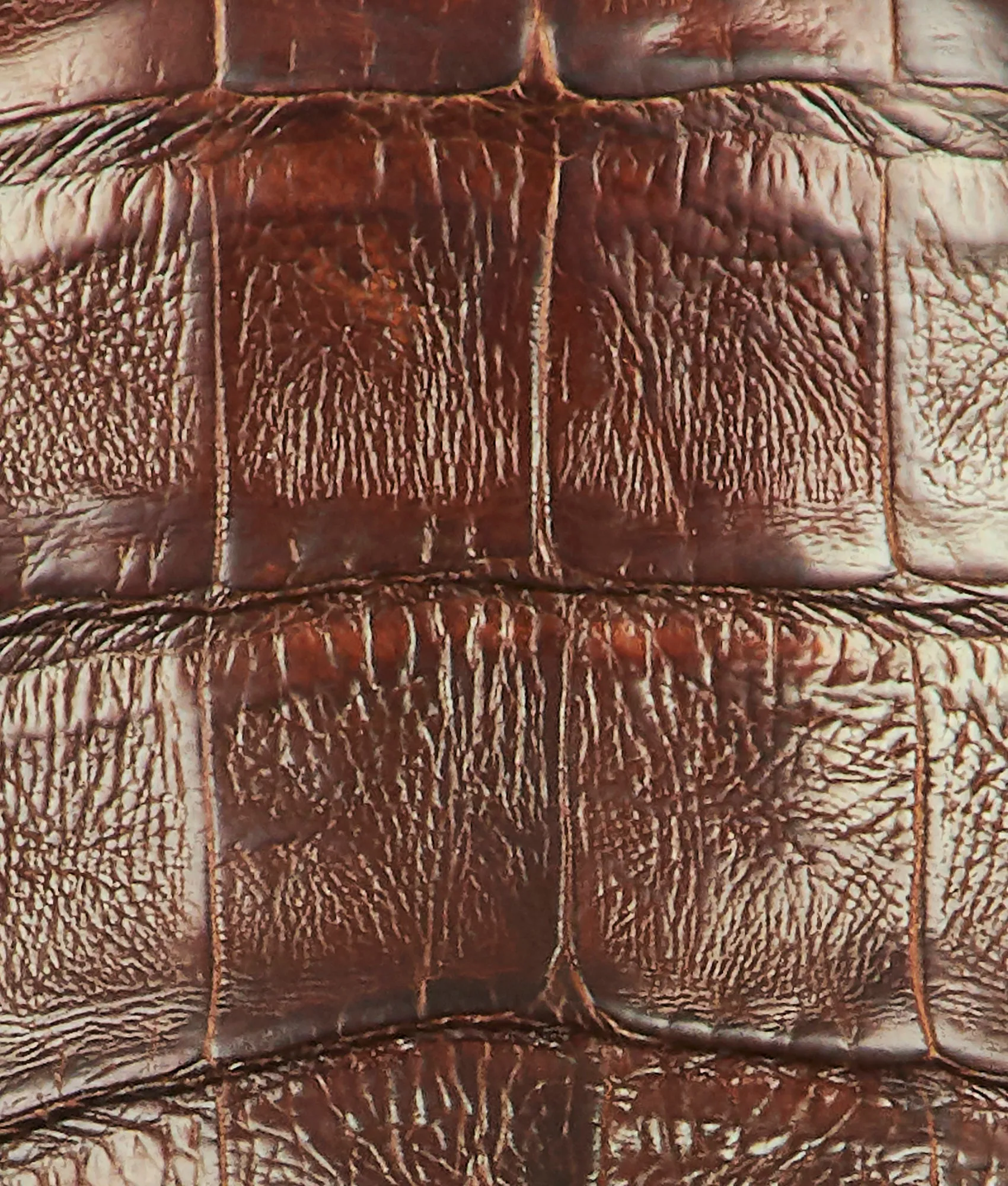 Romano :: Antique Saddle