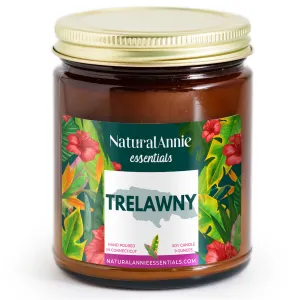 TRELAWNY 9 oz Scented Soy Candle